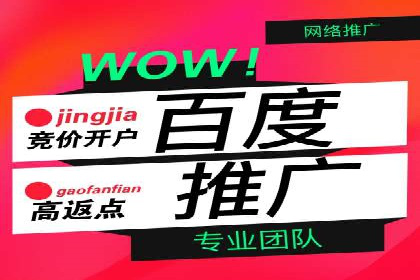 行业领先企业的sem竞价策略：成功案例剖析